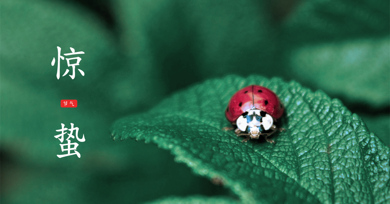 驚蟄 ▎驚蟄始，萬物舒，與你聽風望春來