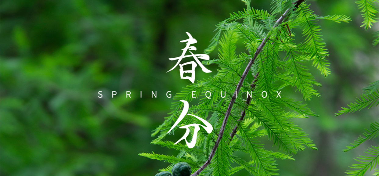 春分 ▎不負春光，萬物生長